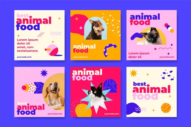 动物动物食品instagram帖子集国内社交媒体套装