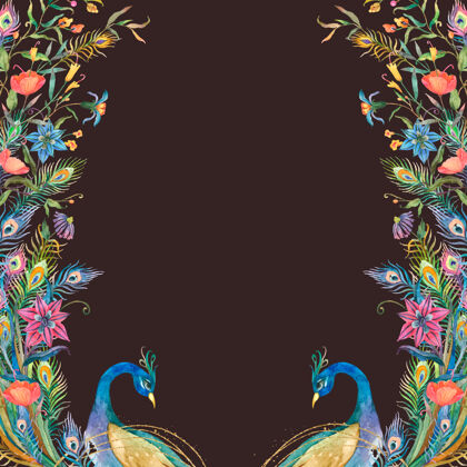 动物孔雀框架与水彩花卉黑色背景背景水彩图形鸟