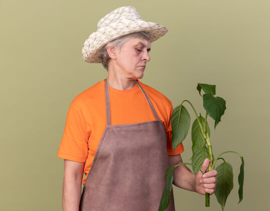 橄榄严肃的上了年纪的女园丁戴着园艺帽拿着植物枝看着帽子老人花园
