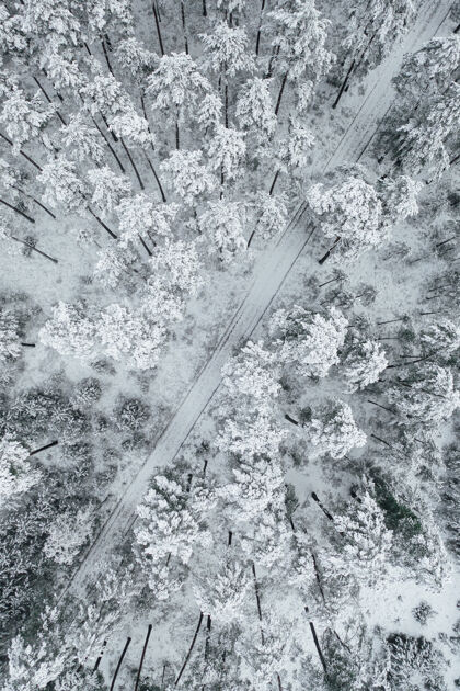 结冰垂直拍摄一条被美丽的冰雪覆盖的森林环绕的道路森林冬天道路