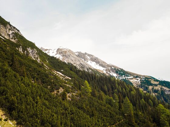 风景夏天的阿尔卑斯山 绿树成荫 白雪皑皑雪森林环境