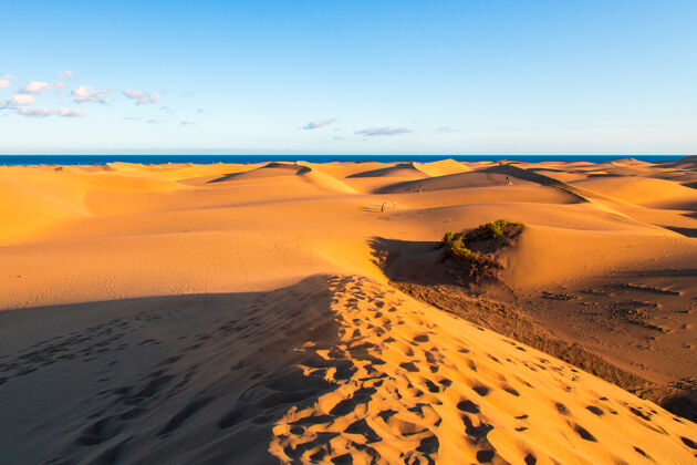 西班牙大加那利岛马斯帕洛马斯沙丘特写景观目的地沙丘