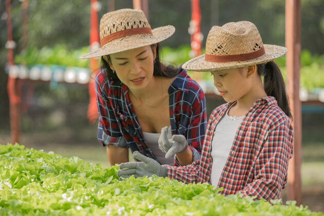 检查亚洲母女一起在农场里帮助采集新鲜的水培蔬菜 家庭生活方式中家庭农业的概念园艺和儿童教育家庭健康农业