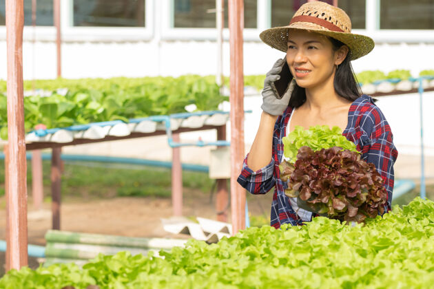 自然亚洲女农场主在蔬菜水培农场使用移动设备工作 心情愉快女农场主微笑着在温室农场检查蔬菜沙拉质量的照片莴苣生产培养