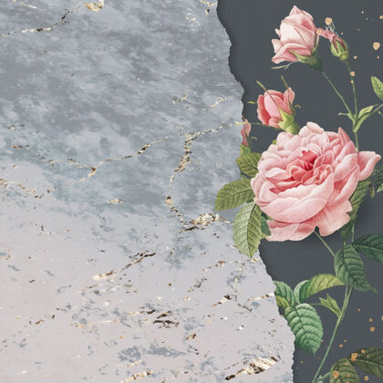 开花空白粉红玫瑰与复制空间金色浅粉色植物