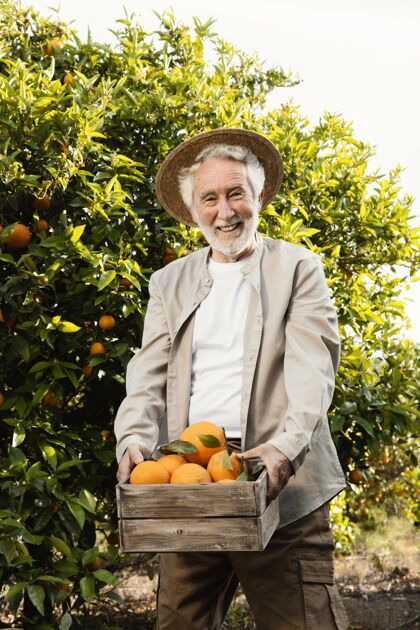 多汁橘子园的老人健康树木柑橘