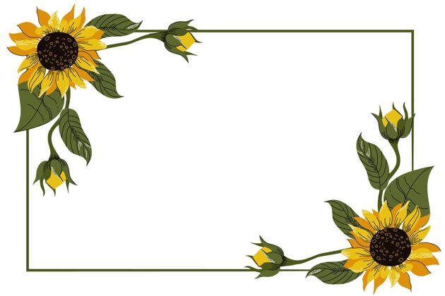 花平面设计自然向日葵边界平面设计花瓣自然