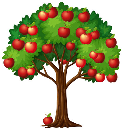 树叶树上有许多红苹果 背景是白色的树枝环境自然