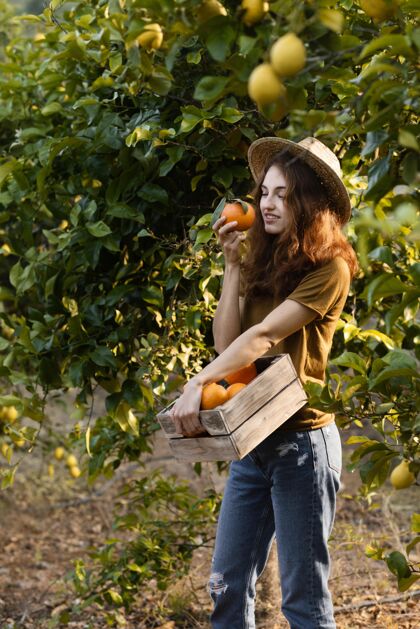 种植园一个拿着桔子篮子的女人有机新鲜农产品