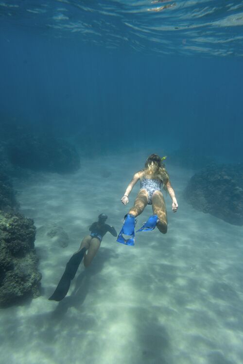 水下戴着潜水器在海里游泳的女人海洋垂直游泳运动员