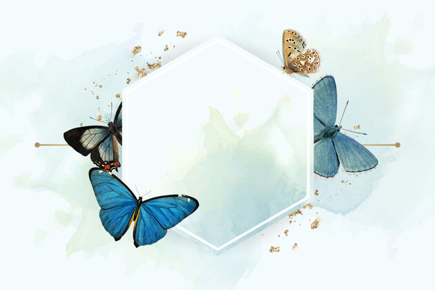 昆虫六边形框架与蓝色蝴蝶图案的背景蝴蝶闪光苍蝇