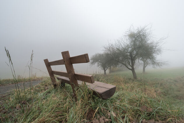 雾雾天寂寞的长椅雾风景秋天