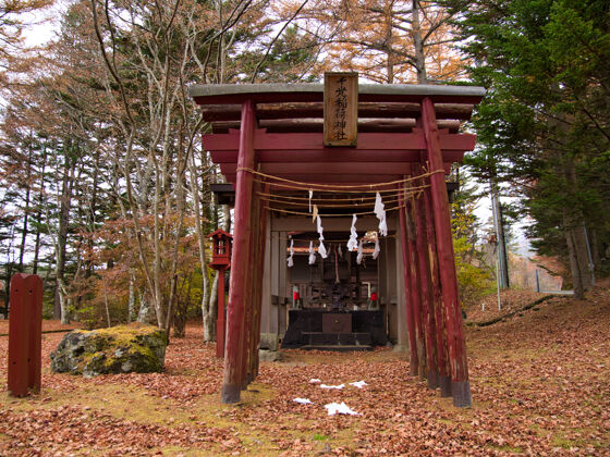 文化神社宗教日本文化神道