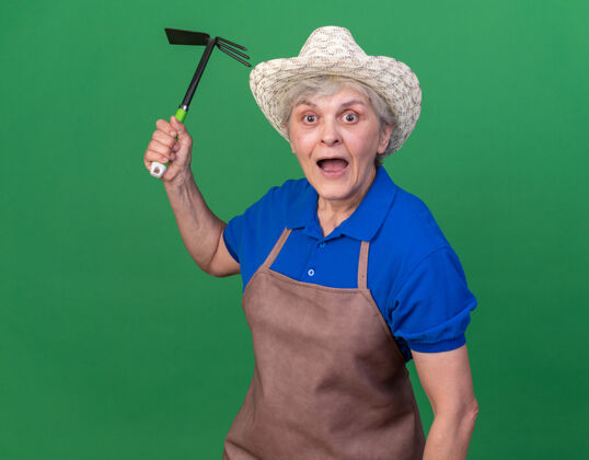 老人焦虑的上了年纪的女园丁戴着园艺帽拿着锄头耙在草地上花园女园艺