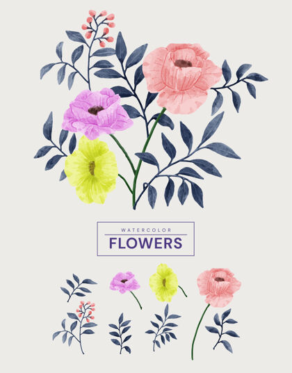 开花水彩花套装绘画植物绘画