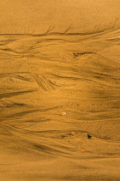 满特写与潮汐的方式和沙滩上的贝壳全框架纹理背景沙贝壳荒芜自然