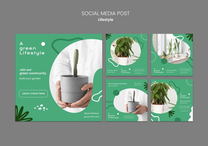 自然Instagram帖子？收集绿色生活方式与植物Instagram零浪费社交媒体