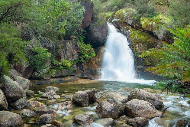 冒险一个瀑布在许多岩石附近流动的美丽镜头景观森林岩石