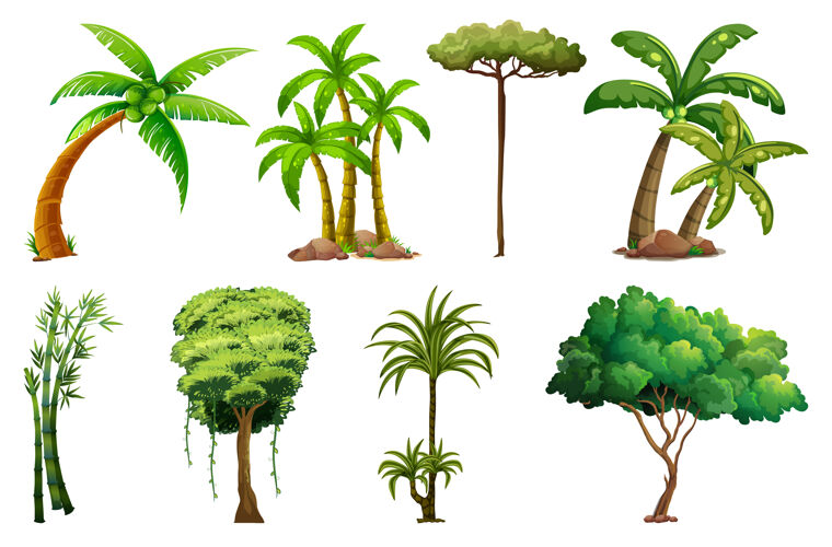环境各种各样的植物和树木树阴影绘画