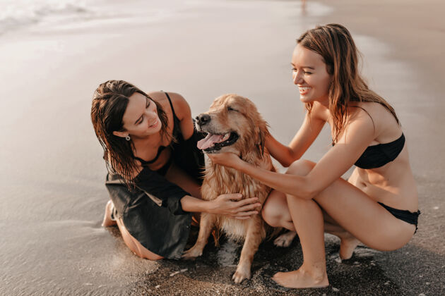 朋友日落时分 两个漂亮的女孩在海边和一条狗玩耍地平线团结美丽