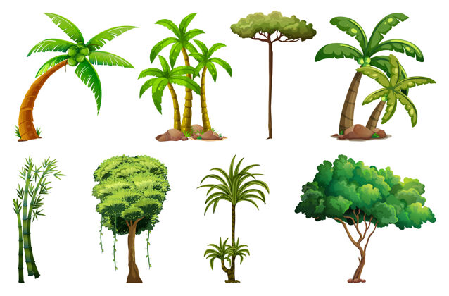 环境各种各样的植物和树木树阴影绘画