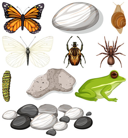 翅膀不同种类的昆虫与自然元素动物卡通动物