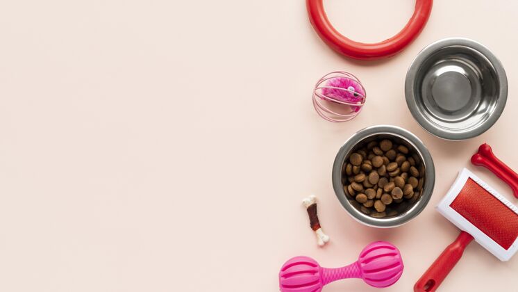 干食品顶视图上的碗与宠物配件集静物概念采购产品狗食品宠物玩具食品碗
