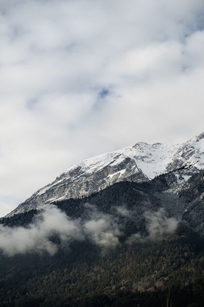 顶部在多云的天空下 山顶覆盖着雪和树木的垂直镜头滑雪自然山脉