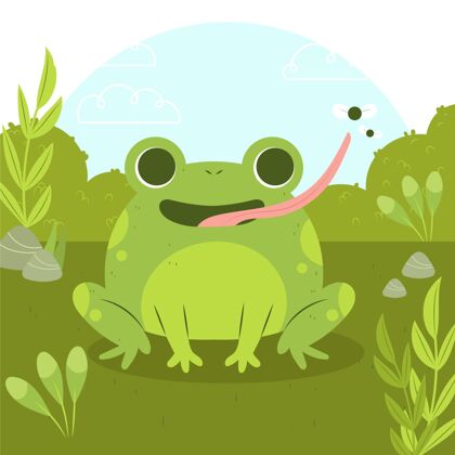 小手绘可爱青蛙插图自然野生动物动物