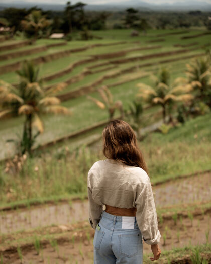 农业以赖斯·特蕾莎为背景的女孩热带田野巴厘岛