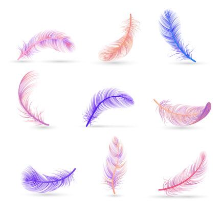 套装逼真的羽毛与柔软的紫色和粉色隔离羽毛集粉红逼真孤立