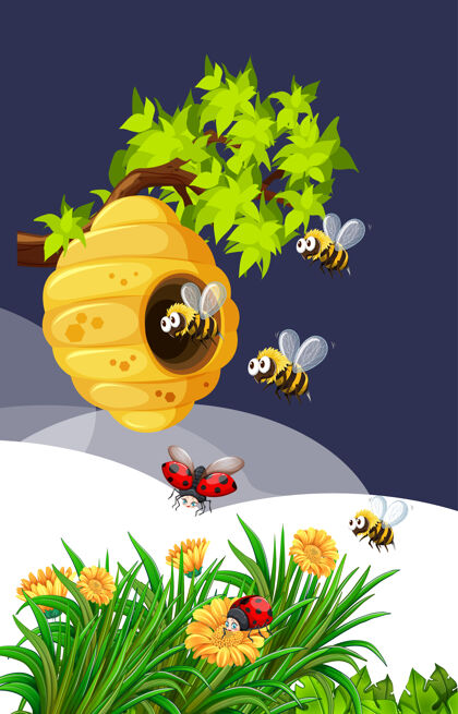 食物自然界的蜜蜂和瓢虫外面花蜂巢