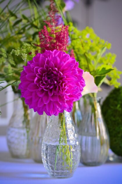 粉红色垂直特写镜头的一个小花瓶与美丽的紫色荷兰花花瓣花园自然