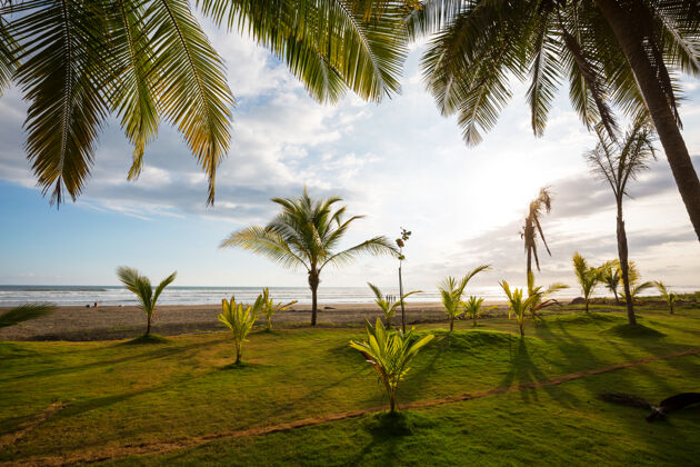 阳光明媚哥斯达黎加美丽的热带太平洋海岸全景沙滩太平洋
