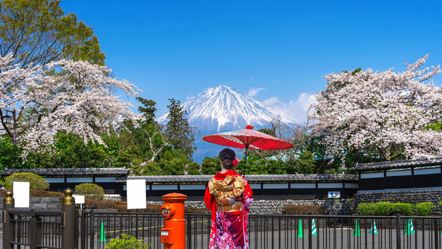 富士山穿着日本传统和服的亚洲妇女在富士山和春天的樱花 日本的富士宫东京美丽樱花