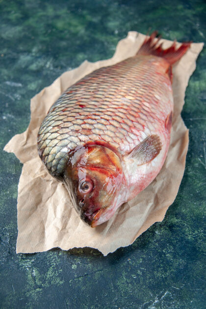无脊椎动物前视新鲜生鱼片上深蓝色的水面食物水海洋欧米茄海鲜色横肉餐新鲜海洋膳食