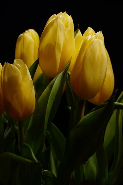 花束垂直特写镜头的一束美丽的黄色郁金香与黑暗的背景开花红色束