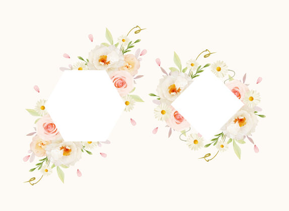 水彩美丽的花卉框架与水彩粉红玫瑰和白色牡丹植物套装画框