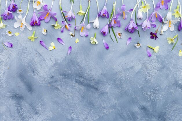 花垂直灰白色背景 紫白色春花边框和文字空间边框空白自然