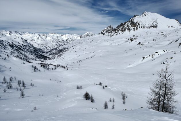 高峰低角度拍摄的森林覆盖的雪山和路径下的蓝天风景岩石雪