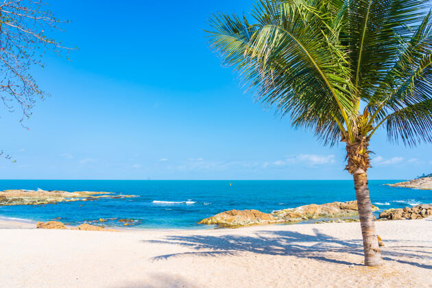 异国情调美丽的热带海滩 大海与椰子棕榈树环绕 白云蓝天为度假旅游的背景夏天椰子海岸线