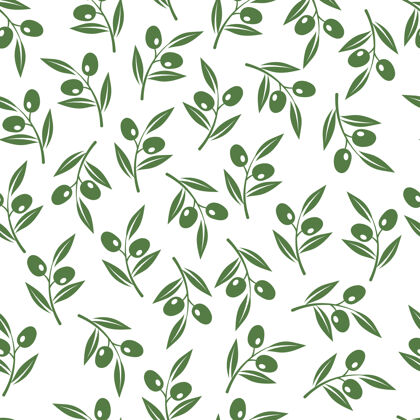 椭圆形橄榄枝纹理生态自然叶