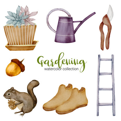 农业花盆 松鼠 靴子 剪刀 梯子和水壶 一套以水彩画为主题的园艺用品种子园艺松鼠