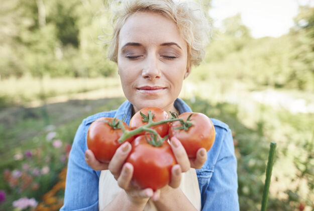 蔬菜从花园里捡西红柿的女人花园西红柿有机