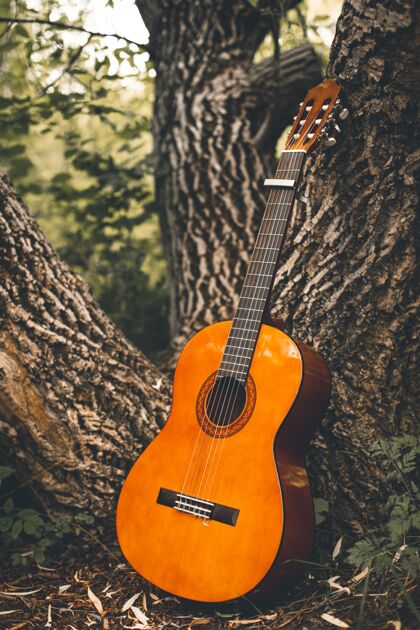 森林在森林中间的一棵树的树干上竖起一把吉他生活树干弦