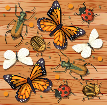 收集在木制墙纸背景上设置不同的昆虫野生动物异国情调野生