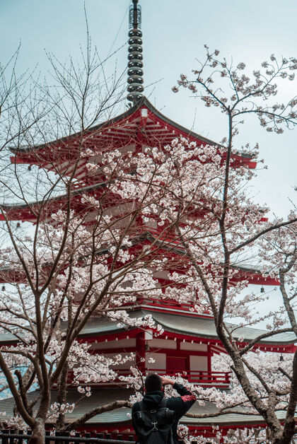 崇拜红白相间的日本寺庙枫树建筑神殿