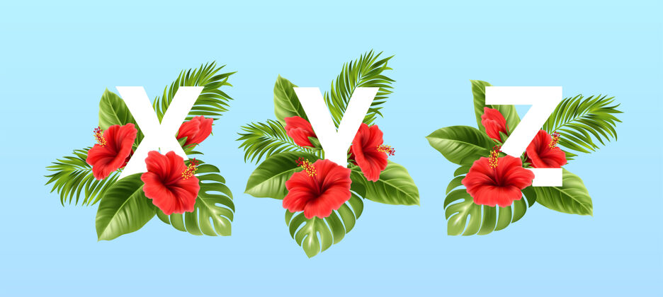 棕榈Xyz字母被夏天的热带树叶和红色的芙蓉花包围着花字体类型