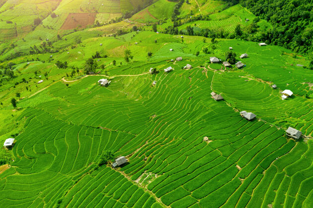 台阶泰国清迈banpabongpiang稻田鸟瞰图土地山谷壮观