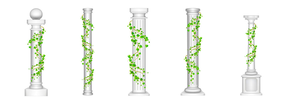 罗马常春藤柱子 古色古香的柱子上爬满了绿色藤本植物叶子上的白色宫殿集华丽